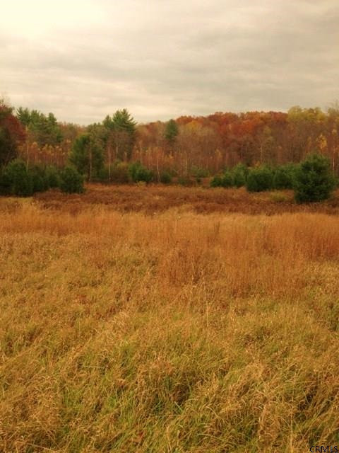 Meehan Road Mechanicville, NY 12118 - Photo 9 of 10 Photo 9