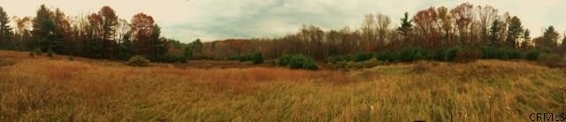 Meehan Road Mechanicville, NY 12118 - Photo 10 of 10 Photo 10