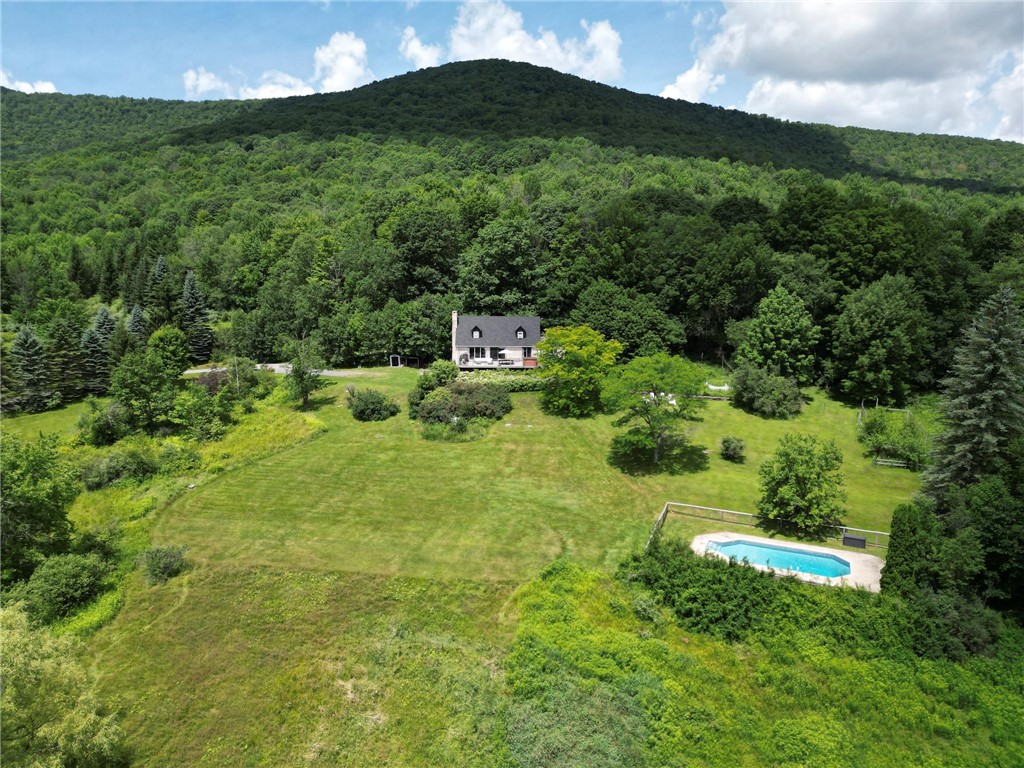 340 Roxi Lane Roxbury, NY 12474 - Photo 33 of 46