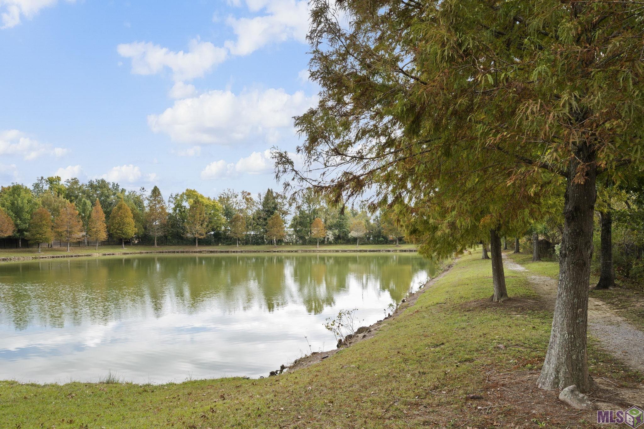 17239 Rue Le Norde Prairieville, LA 70769 - Photo 19 of 20 Gallery Image 19