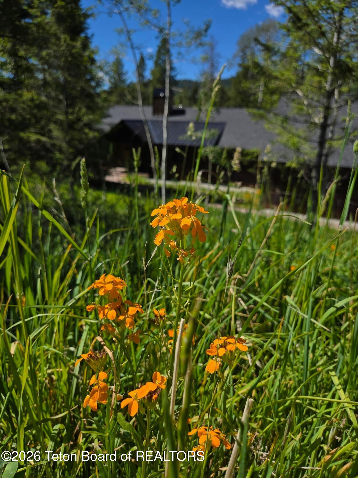 5727 Forest Ridge Road Victor, ID 83455 - Photo 79 of 80 2