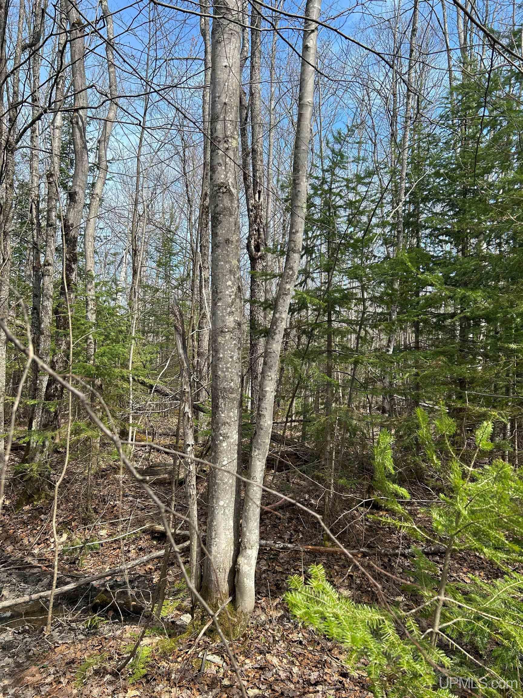 4-10 Firesteel Road Ontonagon, MI 49953 - Photo 9 of 28