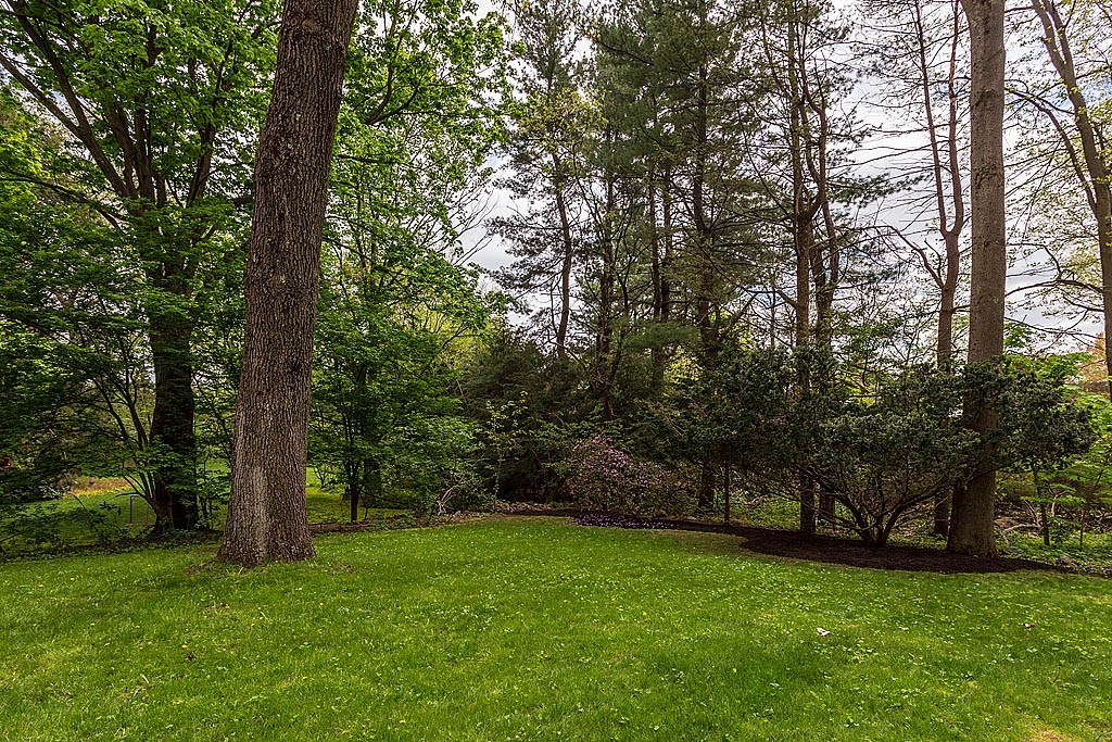 55 Juniper Road Belmont, MA 02478 - Photo 19 of 19