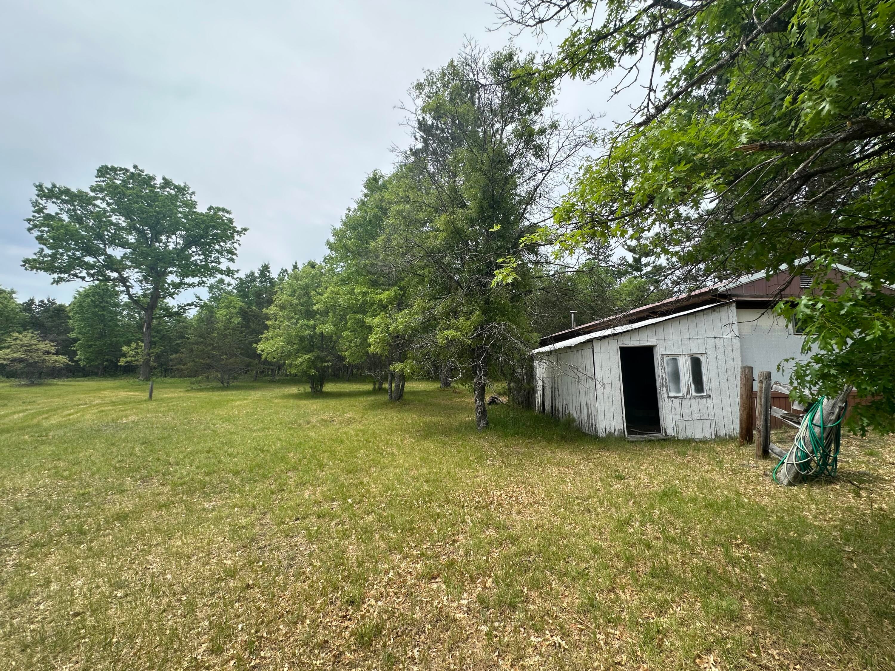 323 Goline Road Grayling, MI 49738 - Photo 4 of 24 Gallery Image 4