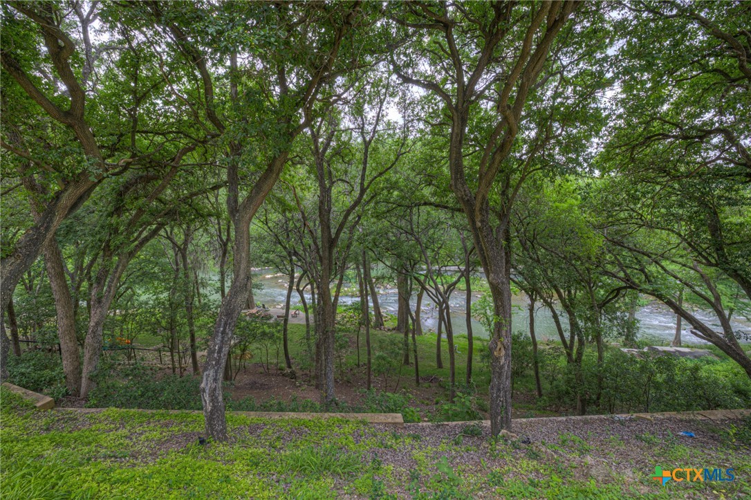 1029 Gruene Road New Braunfels, TX 78130 - Photo 36 of 48 a view of a park