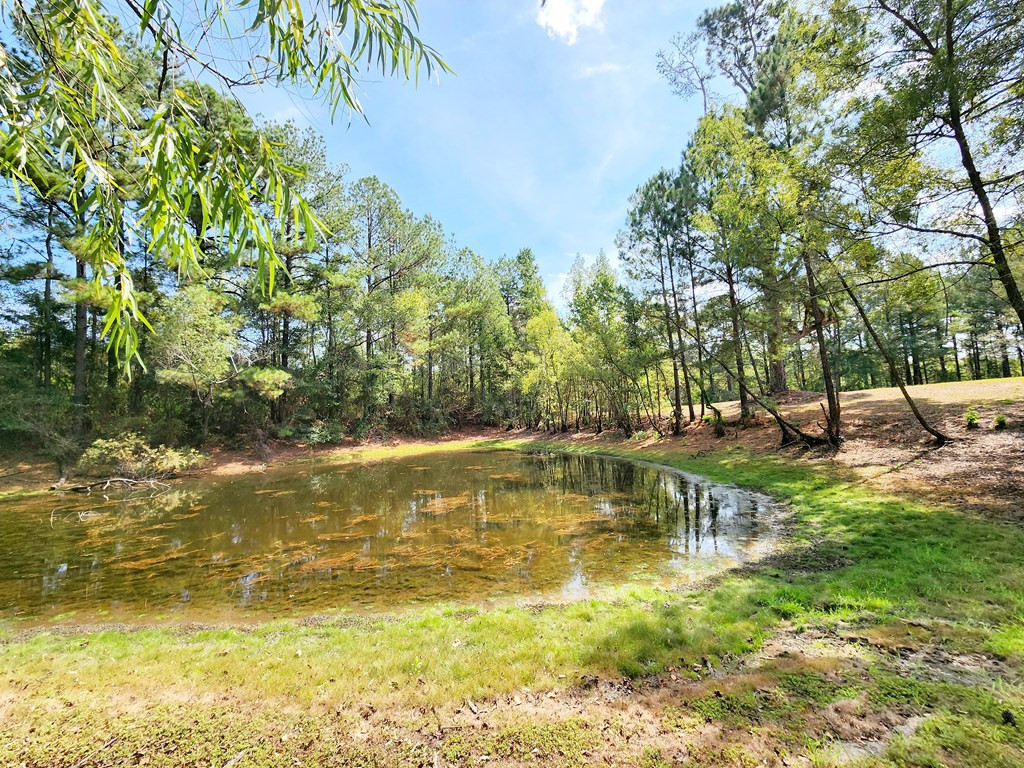 69 West Burnette Road Jayess, MS 39641 - Photo 55 of 74 Photo 55
