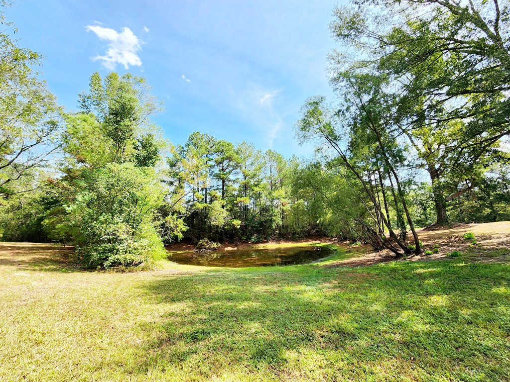 69 West Burnette Road Jayess, MS 39641 - Photo 56 of 74 Photo 56