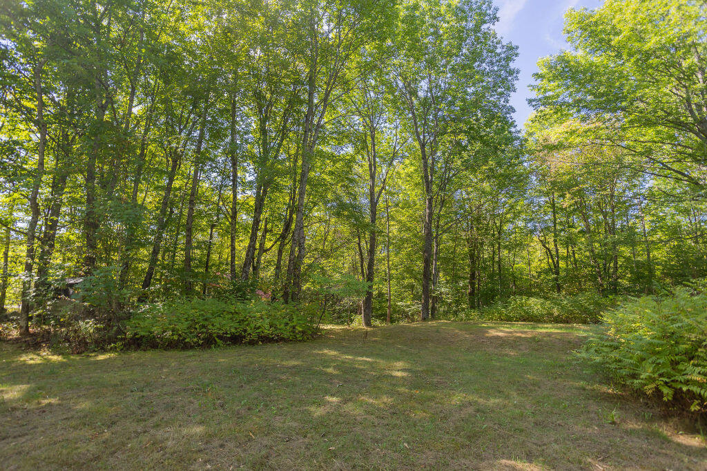 815 West Side Road Weld, ME 04285 - Photo 31 of 35 taylor-kaminsky-photo-29