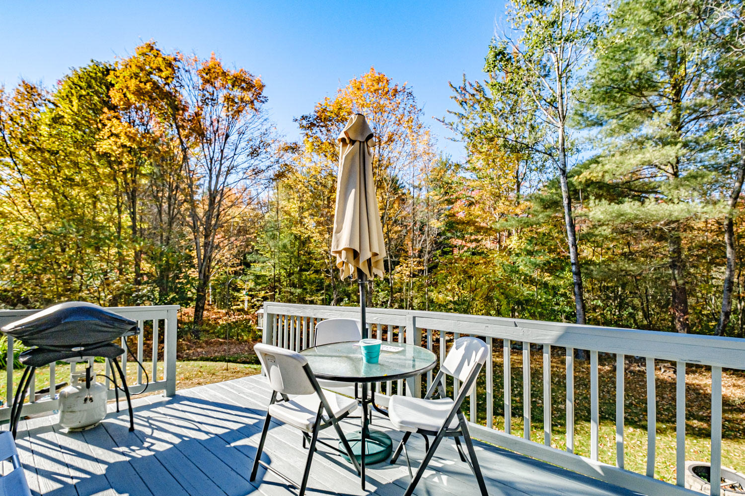 41 Webbs Mills Road Casco, ME 04015 - Photo 51 of 54 20201009gp-60053