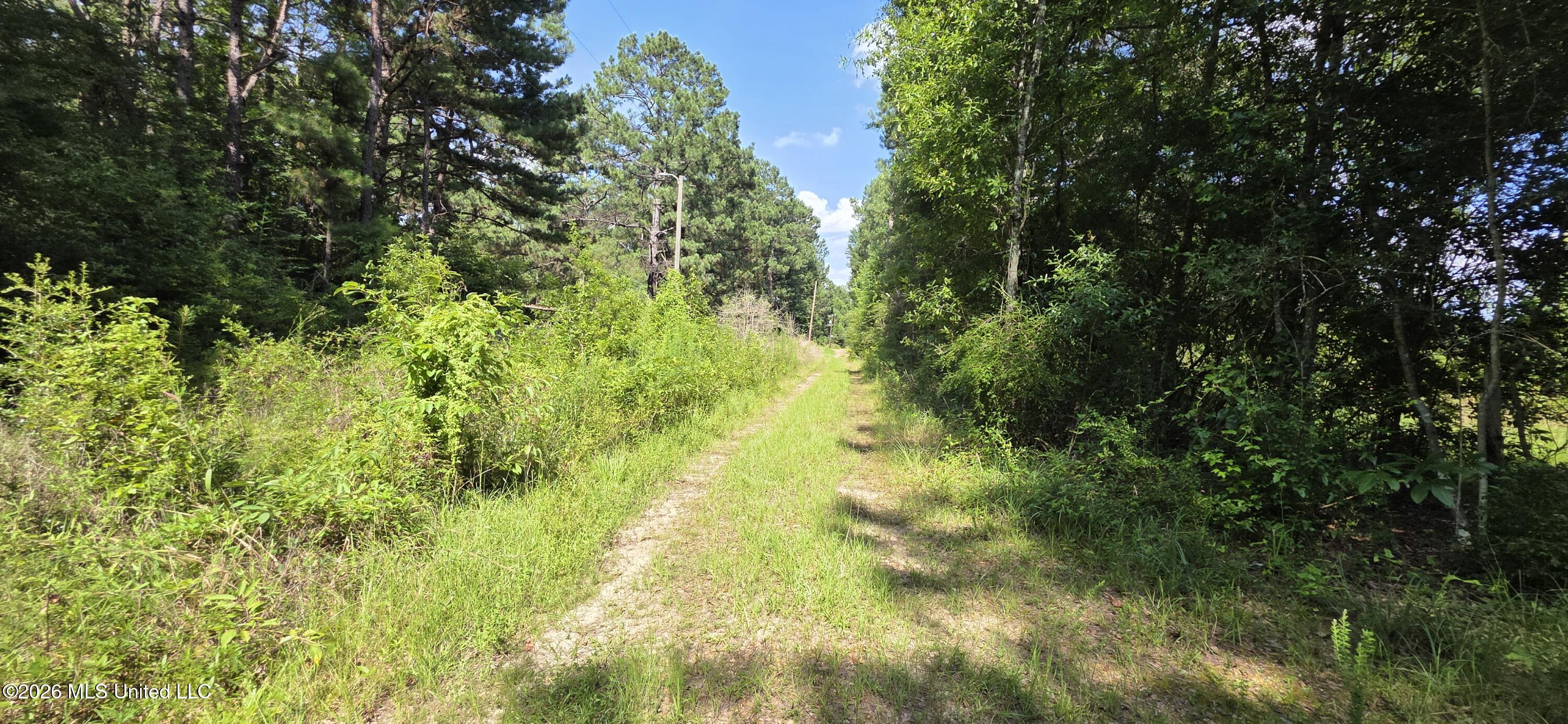 2046 Barto Leggett Road McComb, MS 39648 - Photo 15 of 29 20260623_160401