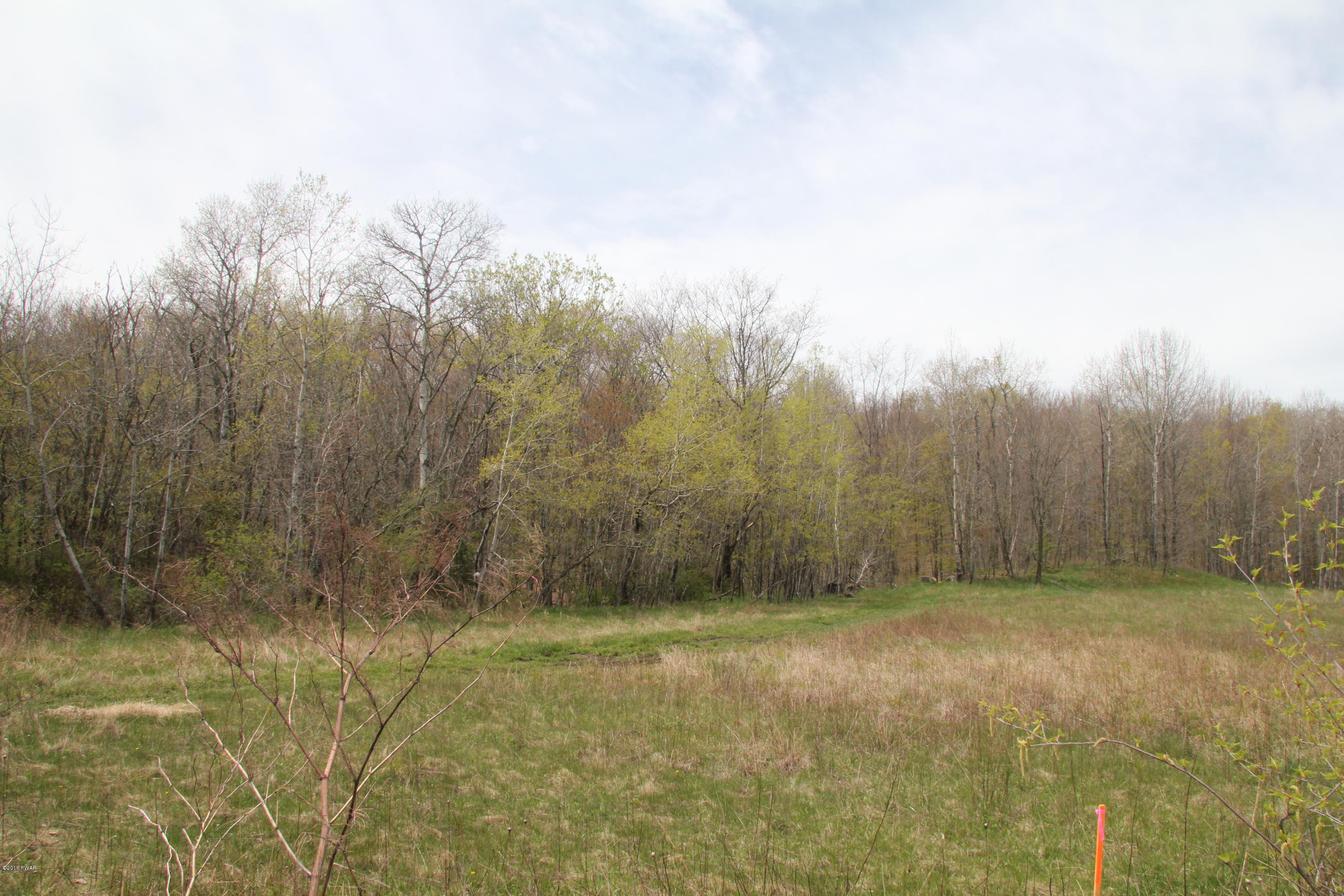Maple Street Forest City, PA 18421 - Photo 9 of 10