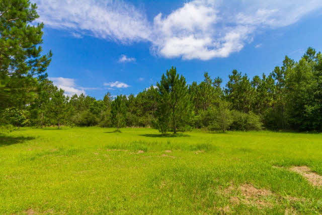 29265 Leiterman Road Elberta, AL 36530 - Photo 26 of 40 Acreage