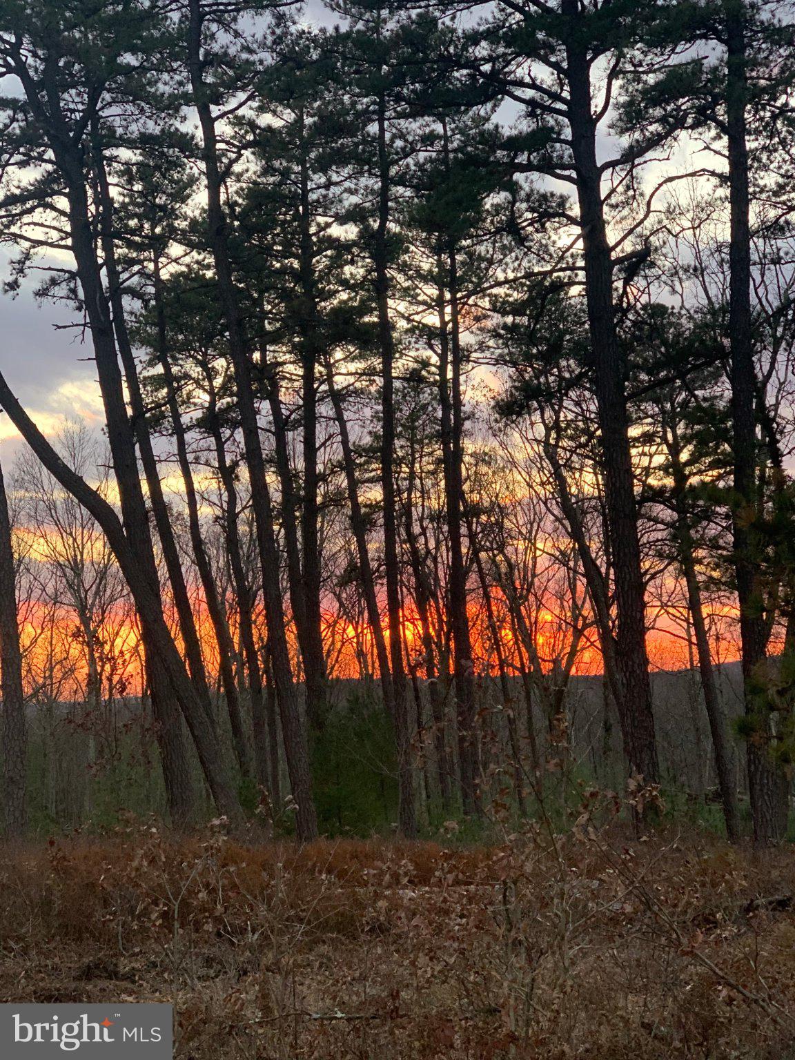 0 Cummins Hill Road Matamoras, PA 18336 - Photo 109 of 116 Sunset hues through towering pines.
