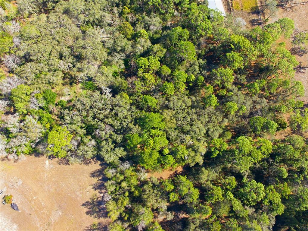 0 Barclay Avenue Spring Hill, FL 34609 - Photo 13 of 16