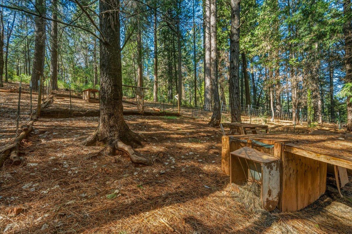 16243 Behr Mountain Road Grass Valley, CA 95945 - Photo 57 of 60