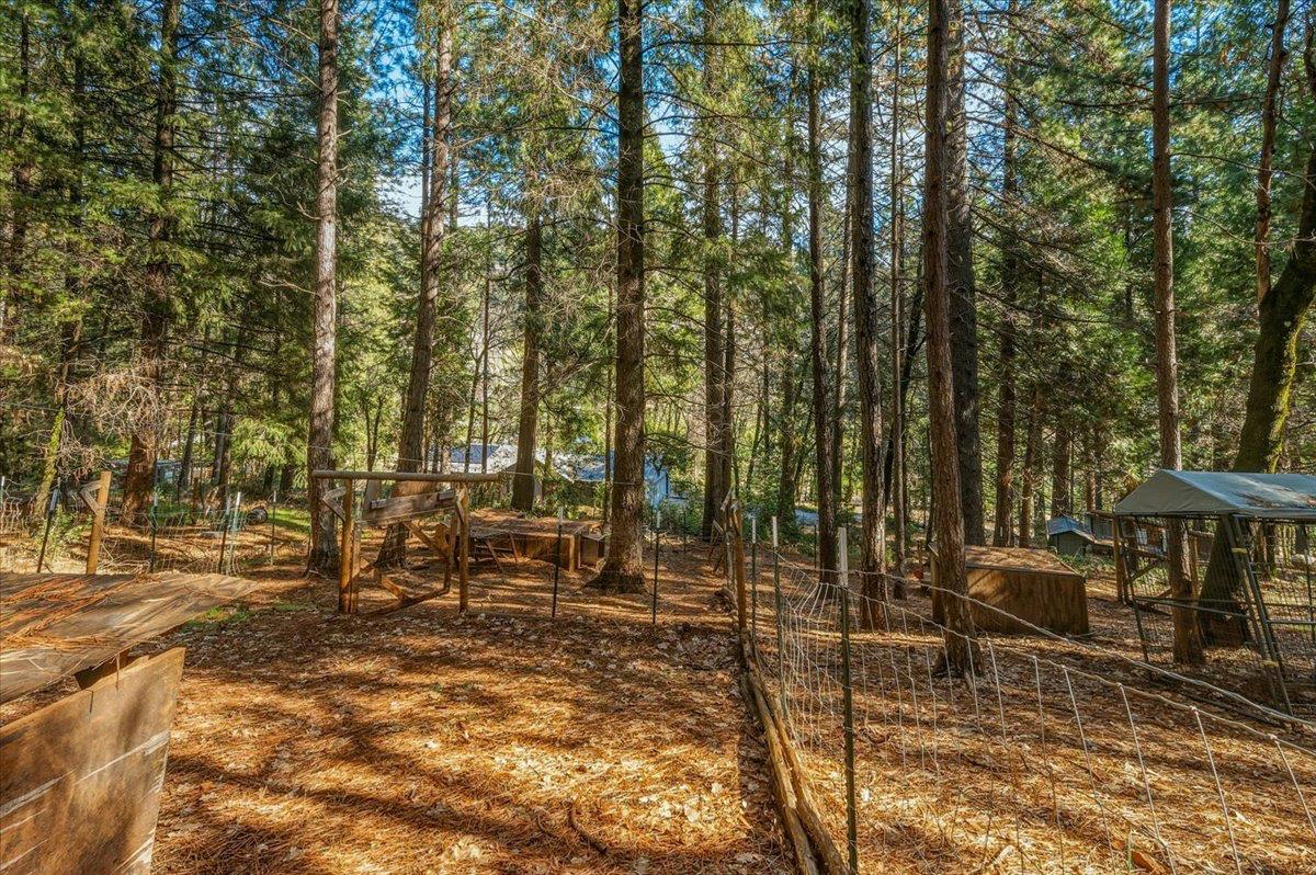 16243 Behr Mountain Road Grass Valley, CA 95945 - Photo 59 of 60