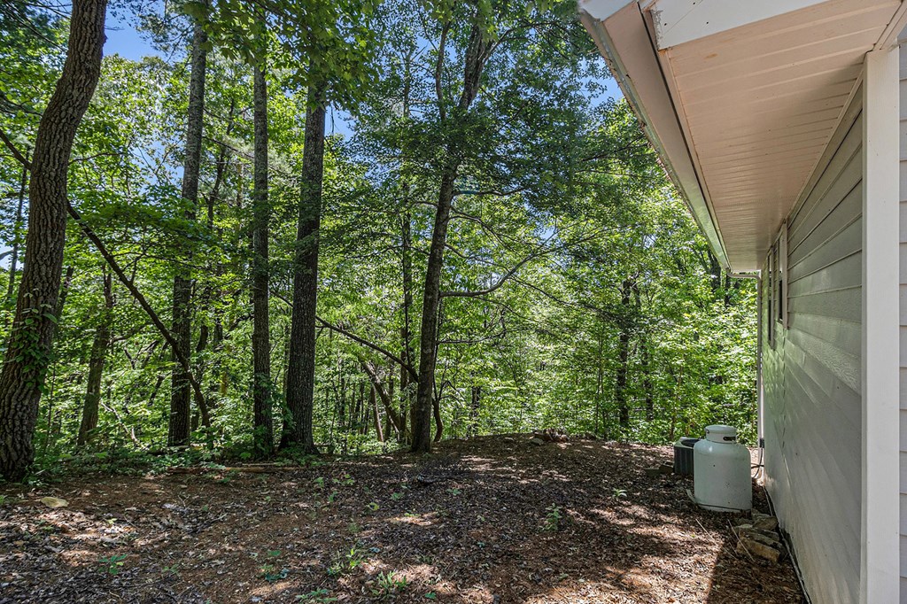 147 Hester Gap Road Cleveland, GA 30528 - Photo 29 of 38 Gallery Image 29