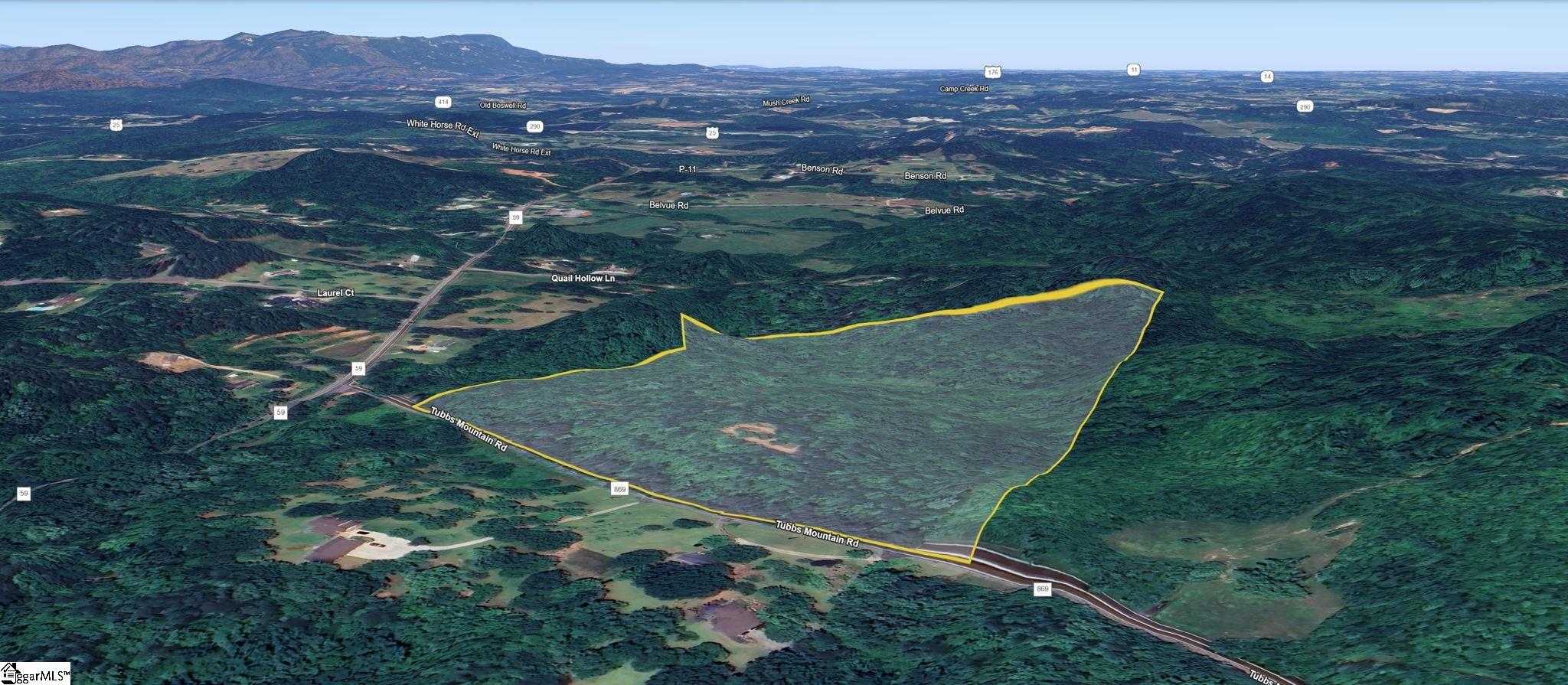 28 A Tubbs Mountain Road Travelers Rest, SC 29690 - Photo 3 of 19