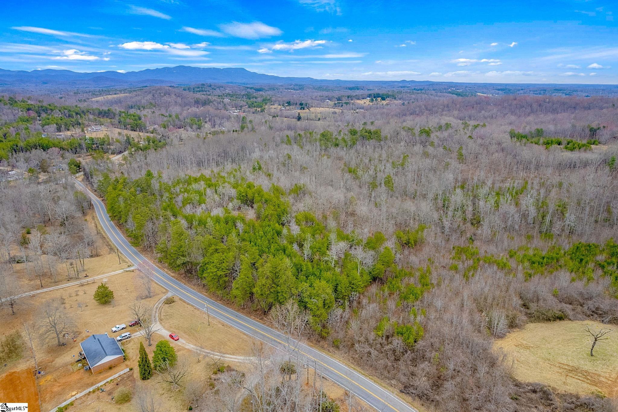 28 A Tubbs Mountain Road Travelers Rest, SC 29690 - Photo 9 of 19