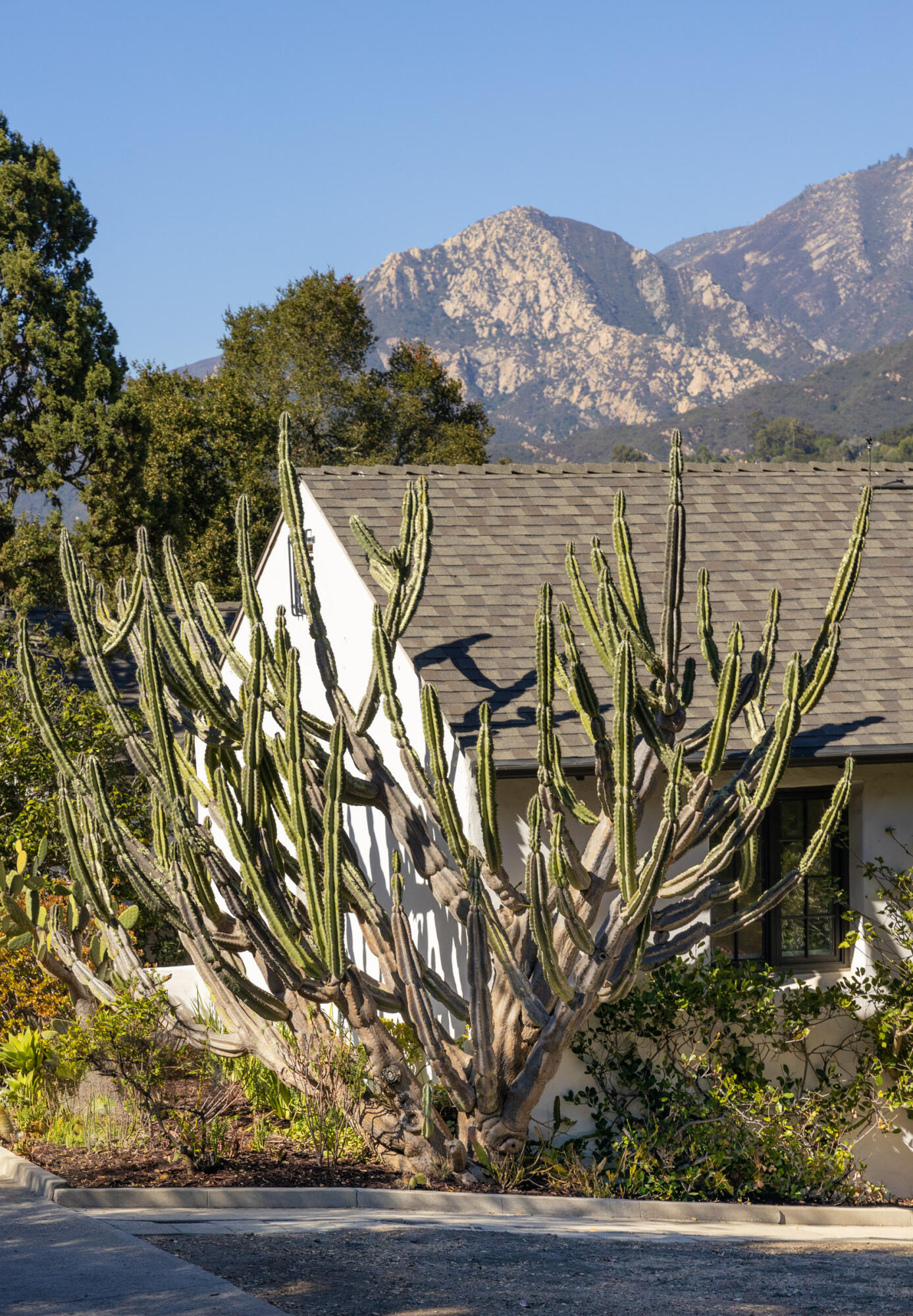 1306 Las Alturas Road Santa Barbara, CA 93103 - Photo 34 of 35 1306 Las Alturas_0005
