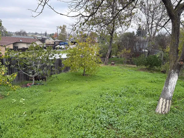 a view of a yard with a tree
