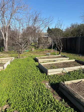 a view of a backyard with wooden fence