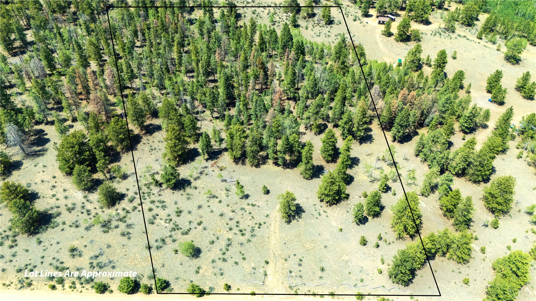 1036 Pulver Road Lake George, CO 80827 - Photo 1 of 27