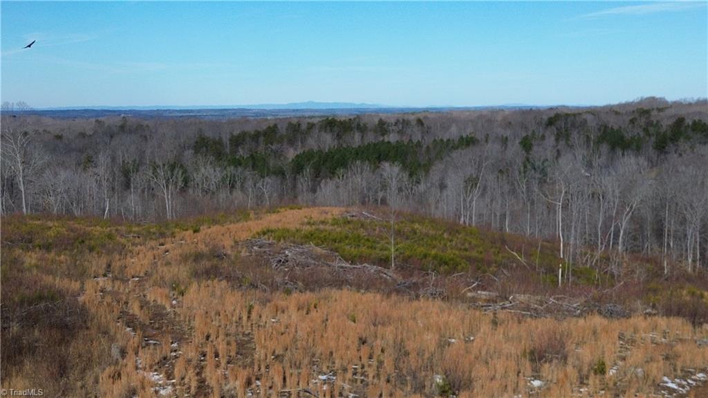 0 Valley Level Road, Unit PARCEL A Reidsville, NC 27320 - Photo 2 of 16