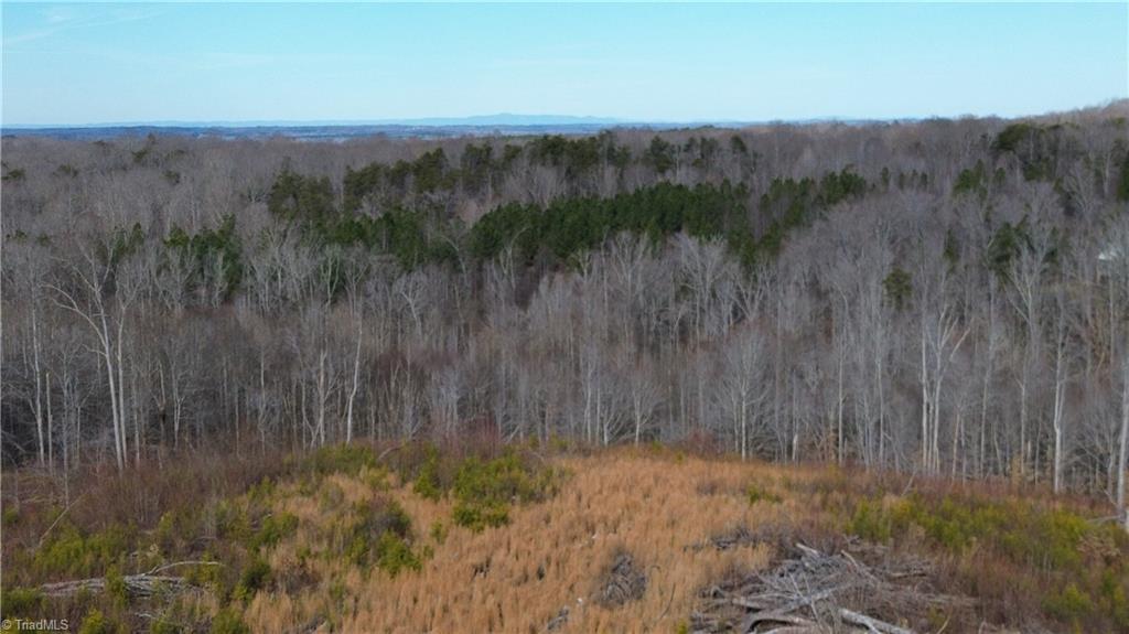 0 Valley Level Road, Unit PARCEL A Reidsville, NC 27320 - Photo 3 of 16