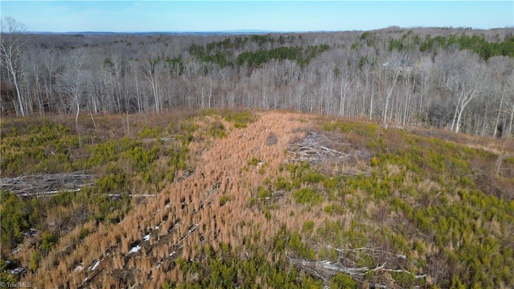 0 Valley Level Road, Unit PARCEL A Reidsville, NC 27320 - Photo 4 of 16
