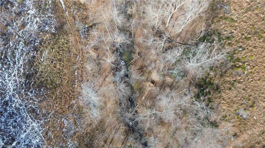 0 Valley Level Road, Unit PARCEL A Reidsville, NC 27320 - Photo 7 of 16