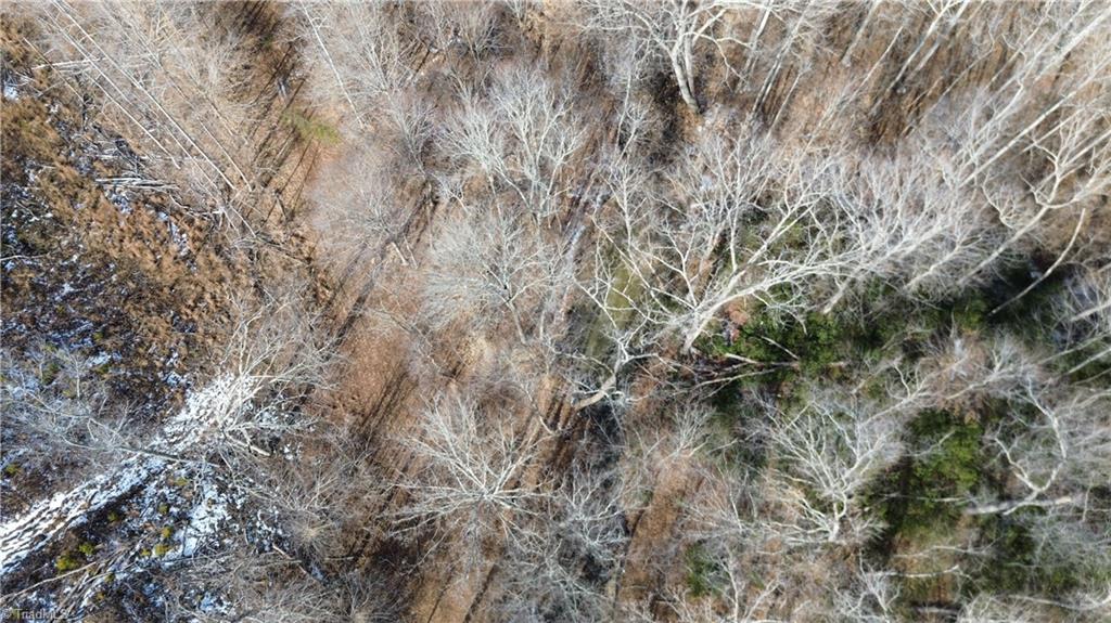 0 Valley Level Road, Unit PARCEL A Reidsville, NC 27320 - Photo 10 of 16