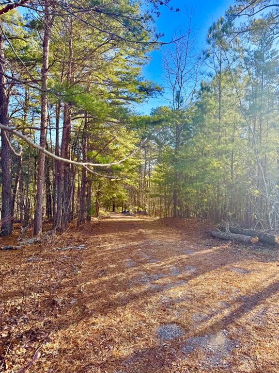334 Packet Court Ranger, GA 30734 - Photo 10 of 21