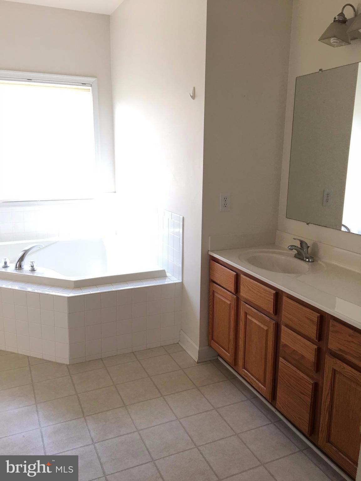 2281 Freezeland Road Linden, VA 22642 - Photo 6 of 23 Master Bath Soaking Tub