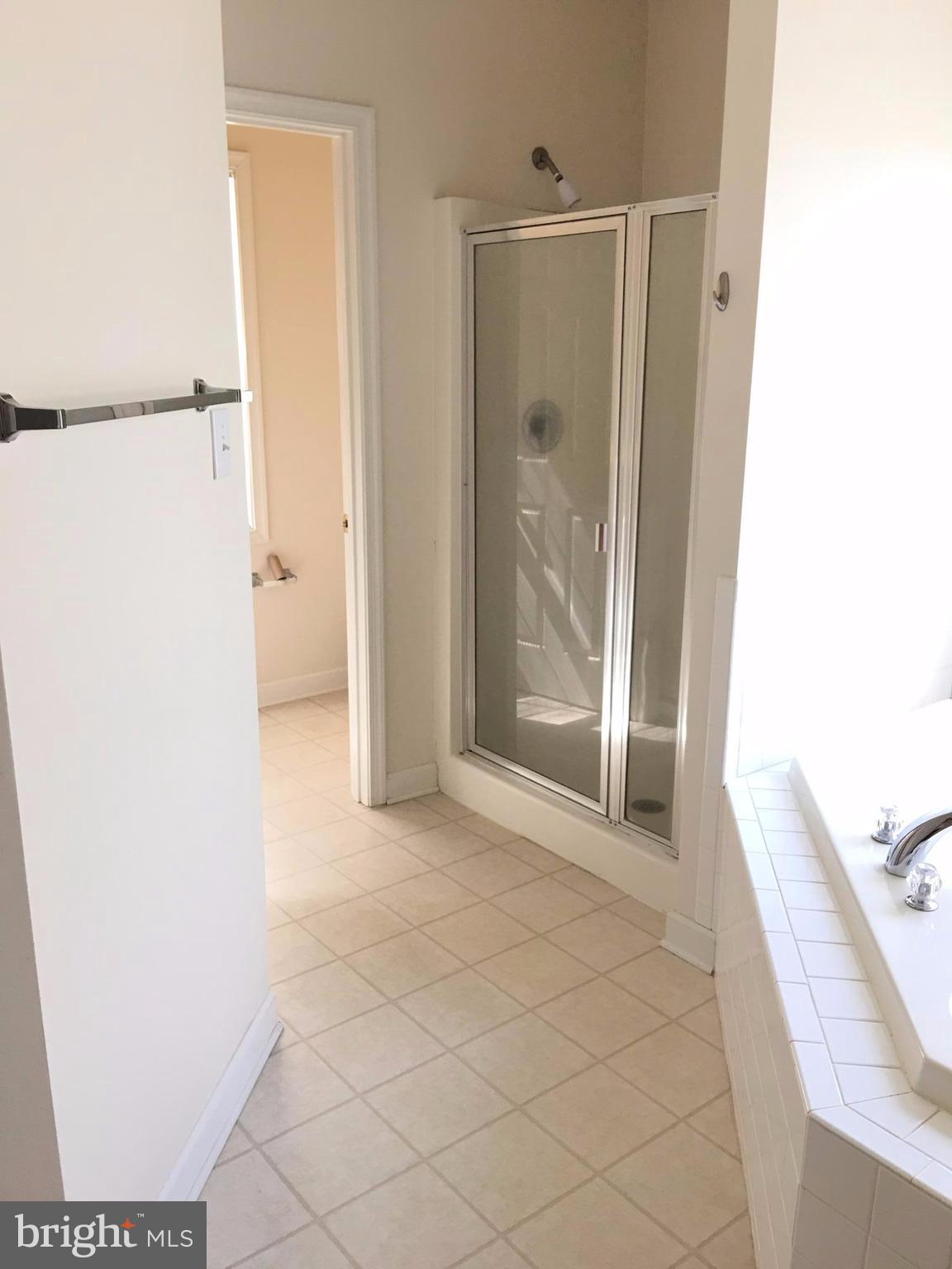 2281 Freezeland Road Linden, VA 22642 - Photo 7 of 23 Shower in Master Bath