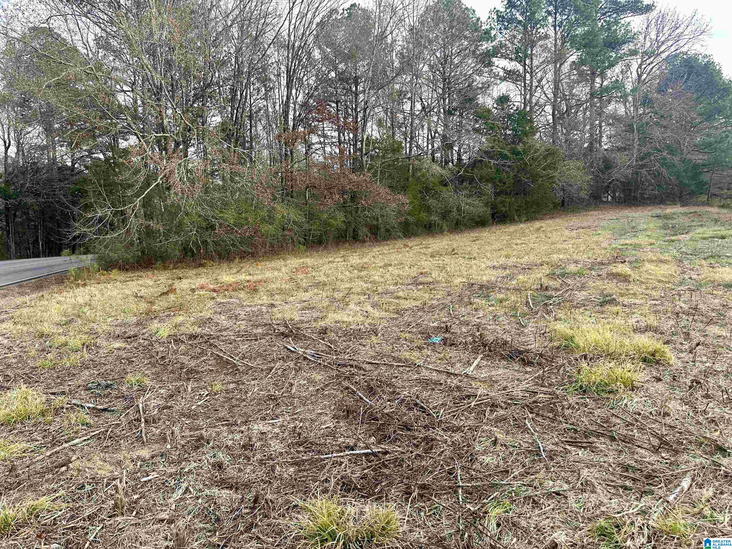 3468 Post Oak Road, Unit 1 Jacksonville, AL 36265 - Photo 3 of 7