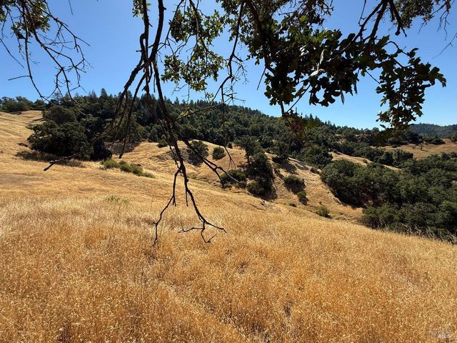 a view of a lake in middle of forest