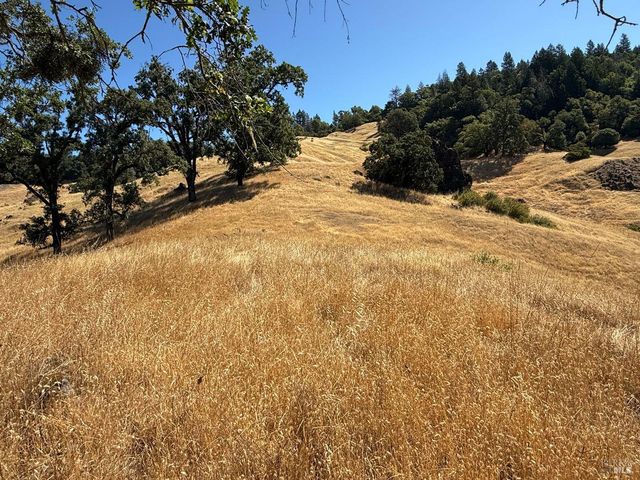 a view of a mountain