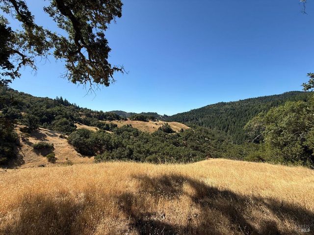 a view of a yard with a tree