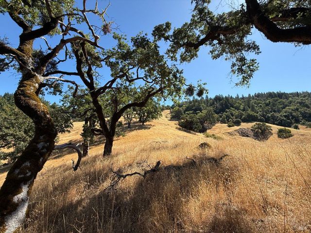 a view of mountain view with lots of trees