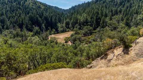a view of outdoor space with mountain view in back