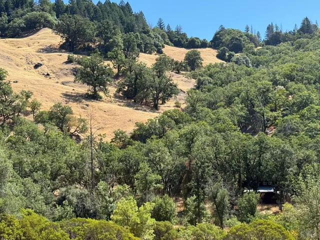 a view of a backyard of a house