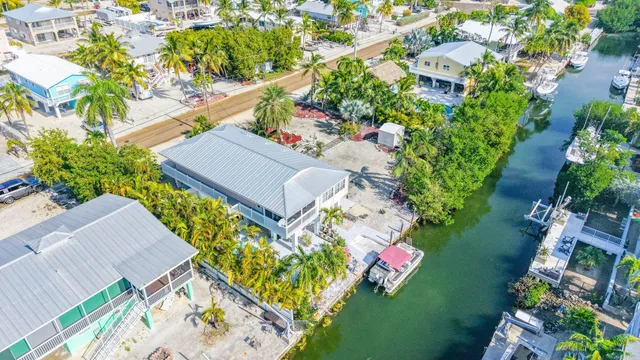 a city view with tall trees