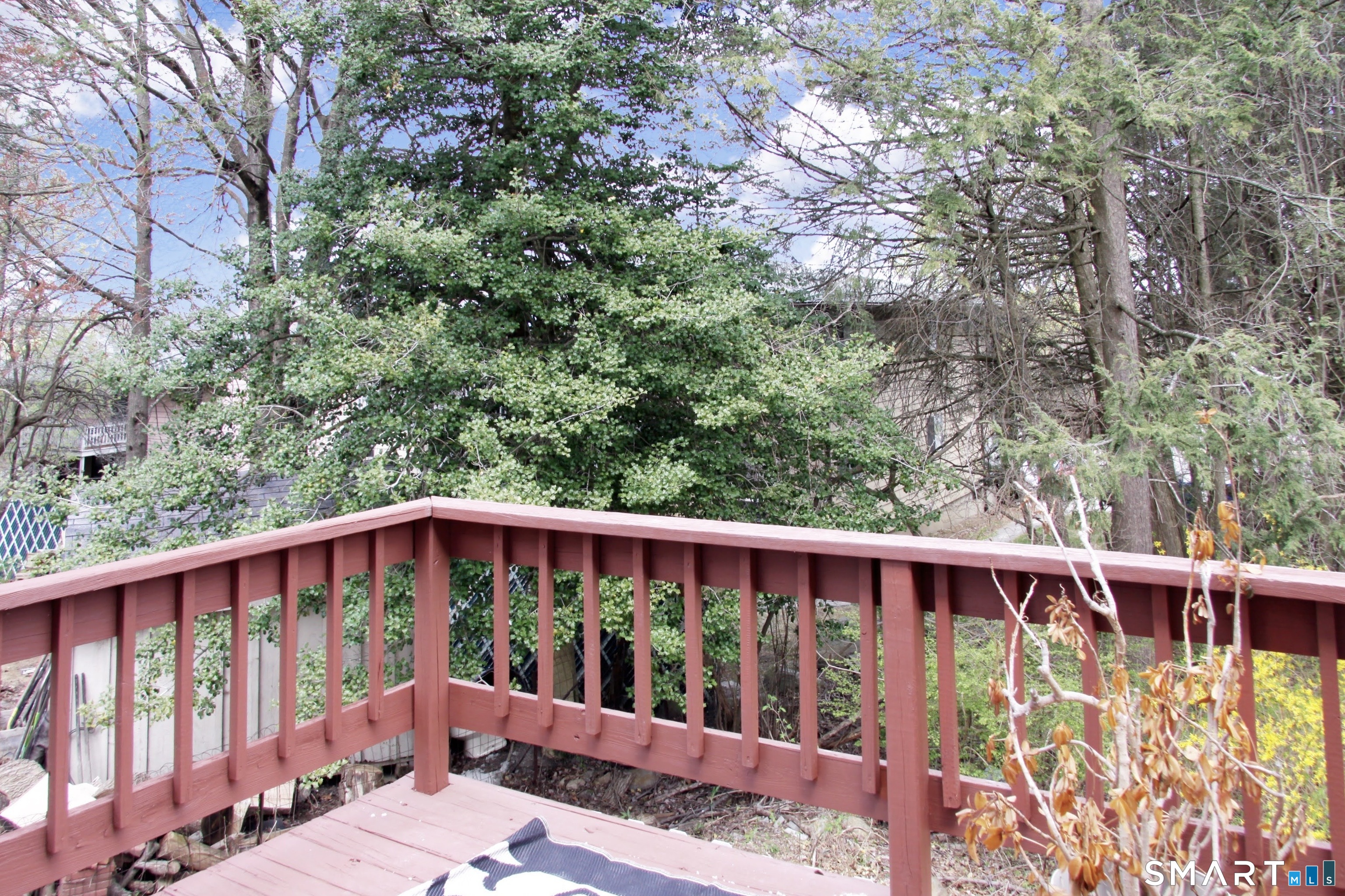 203 Capewell Avenue Waterbury, CT 06708 - Photo 37 of 38