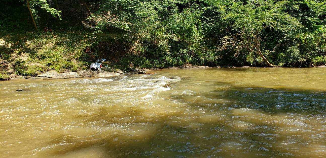 51 Burwell Road Rocky Mount, VA 24151 - Photo 5 of 41 Pigg River