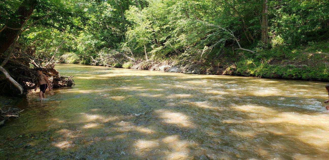 51 Burwell Road Rocky Mount, VA 24151 - Photo 6 of 41 Pigg River