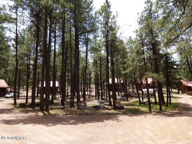 4 R Acr 2087 Alpine, AZ 85920 - Photo 17 of 21