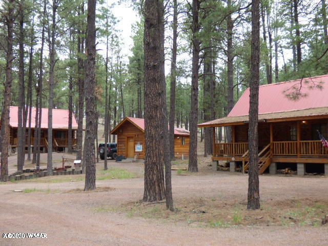 4 R Acr 2087 Alpine, AZ 85920 - Photo 18 of 21
