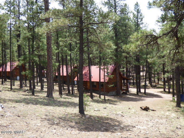 4 R Acr 2087 Alpine, AZ 85920 - Photo 21 of 21