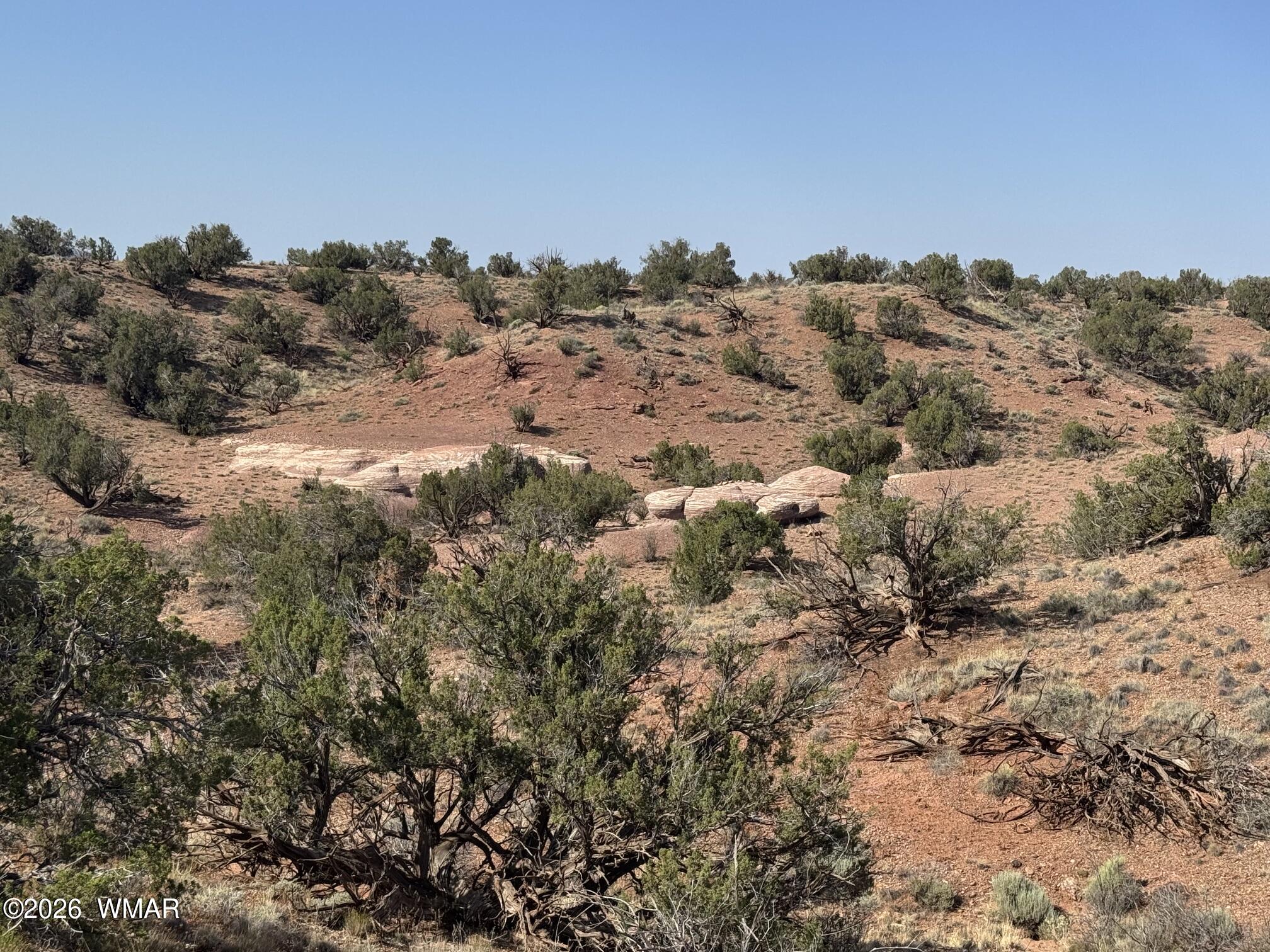 9463 Uttecht Trail Snowflake, AZ 85937 - Photo 45 of 50